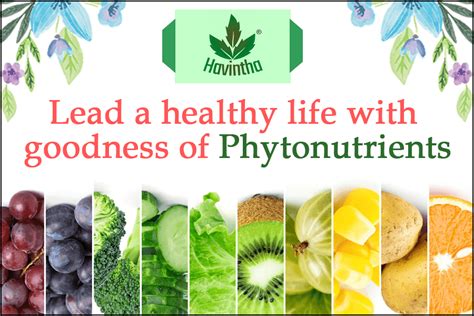 Phytonutrients and Organic Foods with Their Importance