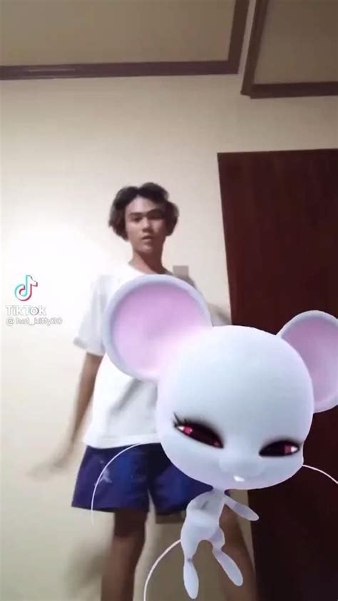 Image result for MultiMouse Transformation