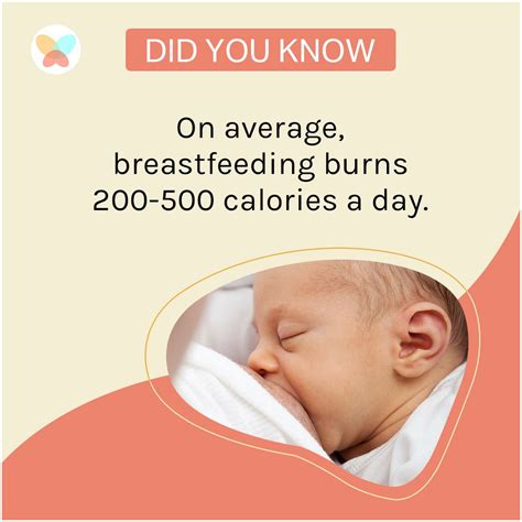 Breastfeeding Burns How Many Calories A Day at Randall Tran blog
