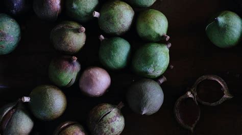 Dorran Bungay – a colourful Jack of many trades – Ambercircle