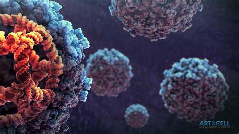 Biology Desktop Wallpaper 的图像结果