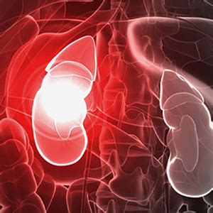 Life After Kidney Failure - Treatment & Recovery | Dr. M. V. Sai Krishna