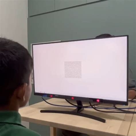 Visual Processing Examples 的图像结果