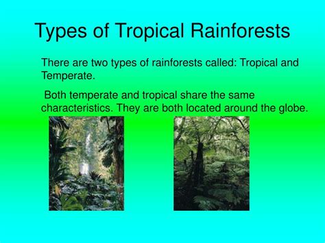 PPT - Tropical Rainforest PowerPoint Presentation, free download - ID ...