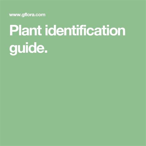 Plant Identification Guide 的图像结果