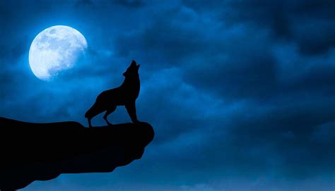 Download Howling Wolf And Galaxy Moon Wallpaper | Wallpapers.com