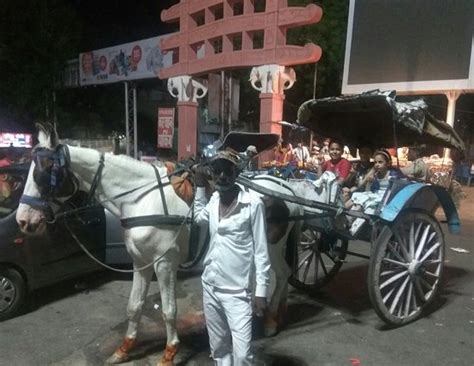 Daulat Bagh Garden (Ajmer) - 2019 What to Know Before You Go (with ...