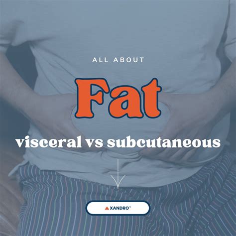 The Different Types of Body Fat - Xandro Lab