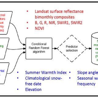 Image result for Google Colab Random Forest Predict