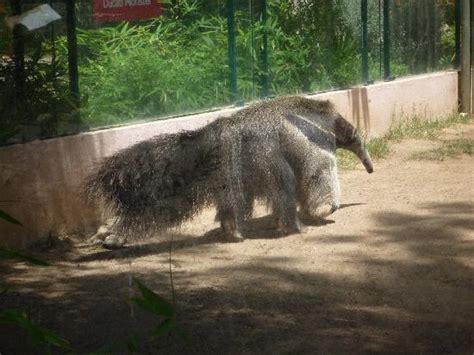 Lisbon Zoo - Picture of Lisbon Zoo, Lisbon - TripAdvisor