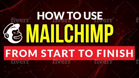 Image result for MailChimp Basics