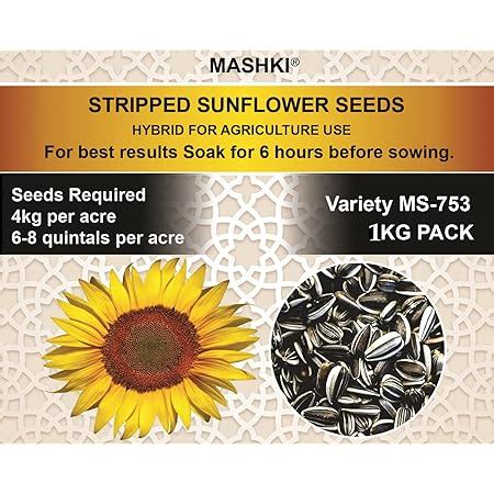 Sunflower Seeds for Farming and Gardning Pack of 2 Kg, Suraj mukhee ke ...