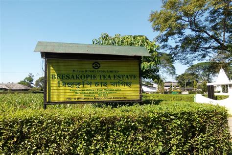 Kawardha Assembly Election 2023: कवर्धा के वोटर किसे देंगे जनादेश… क्या ...