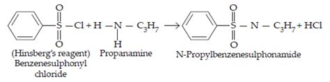NCERT Solutions for Class 12 Chemistry Chapter 13 Amines