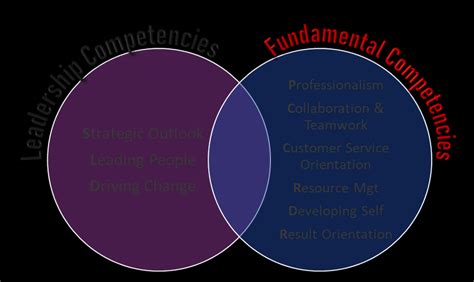 Image result for CSC Competency Model