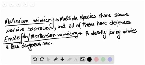 SOLVED:Analyze the predator-prey graphs to identify the graph that correctly depicts a predator ...