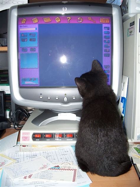 older brother core on Tumblr