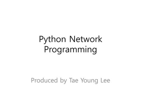 Network Programming in Python 的图像结果