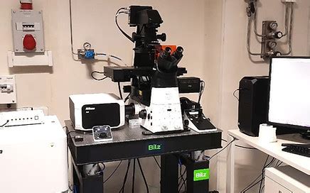 Laser scanning confocal microscopes | IISER Pune