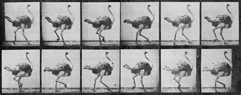 Image result for Earliest Stop Motion Animation