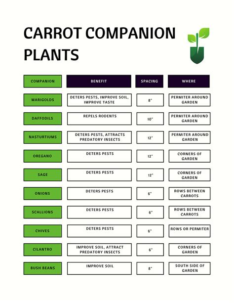 21 Carrot Companion Plants [Deter Pests, Improve Soil, Maximize Space ...