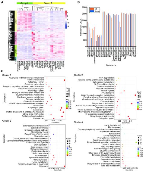Image result for Python Heatmap RNA-Seq