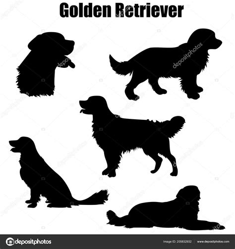 Golden Retriever White Silhouette - silhouette of golden retriever