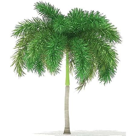 Green World Foxtail Palm/Wodyetia bifurcata palm seeds ornamental tree ...
