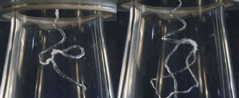 Image result for Vortex Ring Experiments