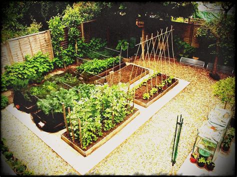 20 Great Vegetable Garden Ideas You Should Check | SharonSable
