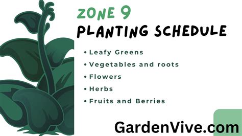 Zone 9 Planting Schedule - Charts