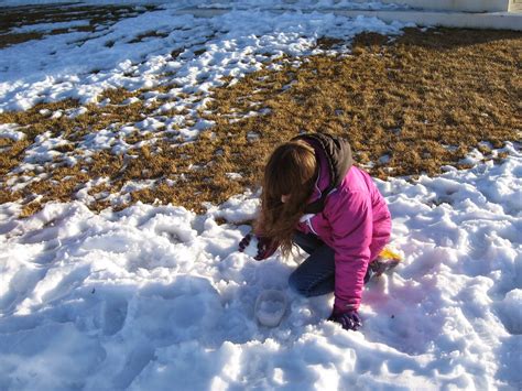 Image result for Snow Block Activity