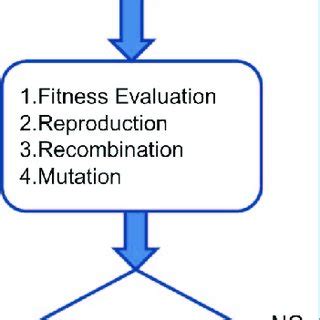 Image result for Genetic Algorithm Implementation