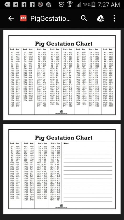 Dairy Cow Gestation Chart at Mason Jaques blog
