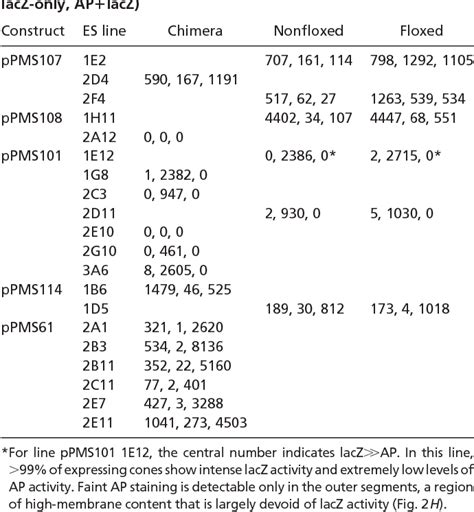 Image result for Locus Control Region Gene Expression