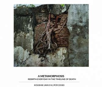 A Metamorphosis | CEPT - Portfolio