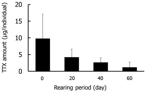 Tetrodotoxin Retention in the Toxic Goby Yongeichthys criniger