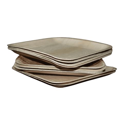 Areca 10 Inch Square Plate Eco-Friendly Palm Leaf Disposable Plate ...