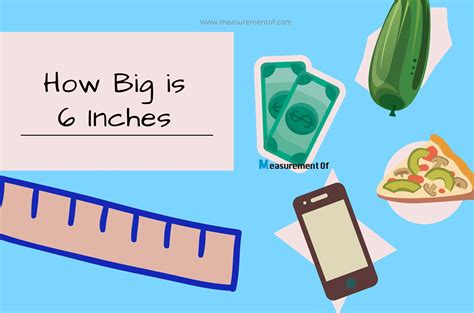 12 Common Things That Are 2 Feet Long