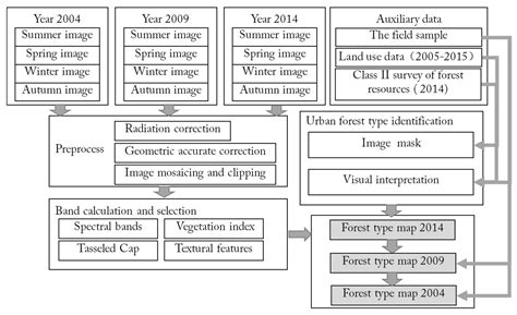 Study of the Spatiotemporal Variation Characteristics of Forest ...