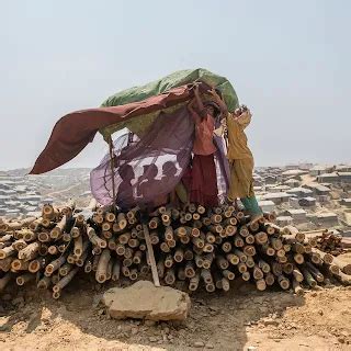 The environmental crisis unfolding in the world’s largest refugee camp ...