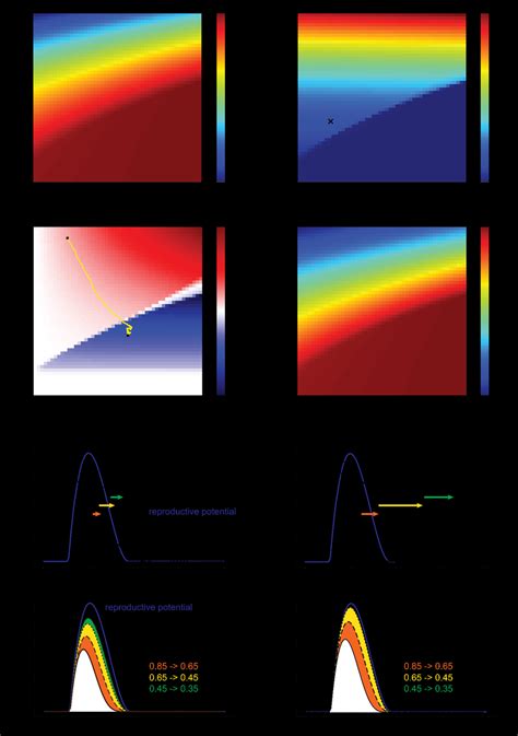 Fitness Landscape 的图像结果