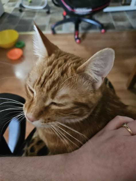 I started singing. : r/GingerMafia