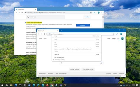 Image result for Display URL Bar