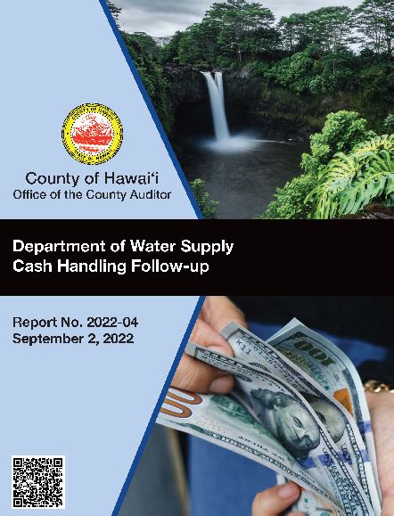 Audit Reports | Hawaii County, HI