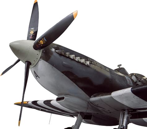 Image result for Spitfire Easy