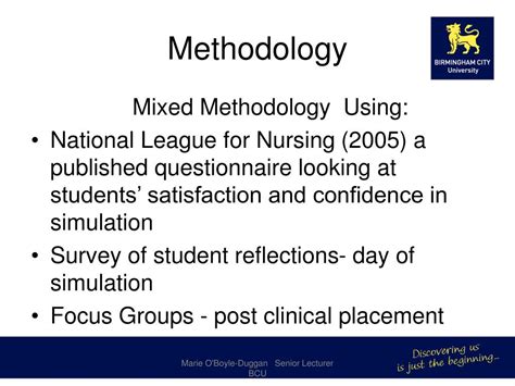 Live Simulation 的图像结果