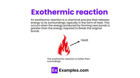 Exothermic Reaction Examples 的图像结果