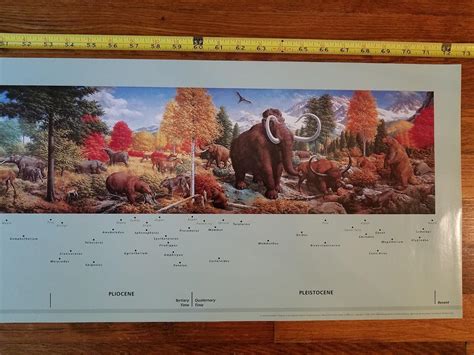 Age Of Mammals Poster Of Rudolph F. Zallinger Mural Almost 6 Feet ...