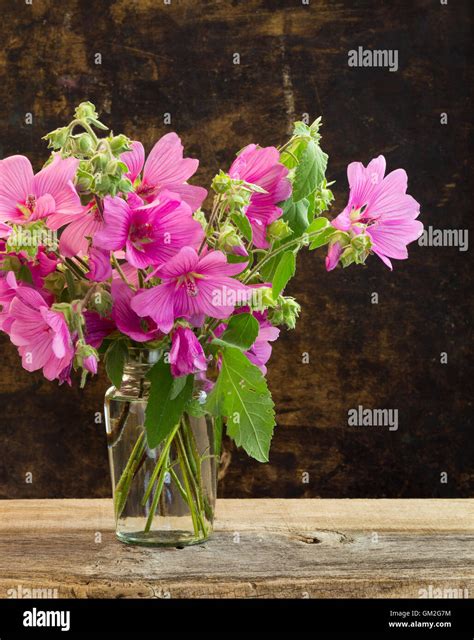 Pink hibiscus flowers bouquet in a vase on dark rustic background Stock ...